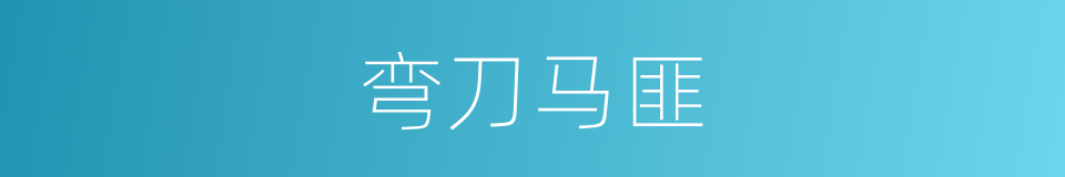 弯刀马匪的同义词