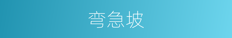 弯急坡的同义词