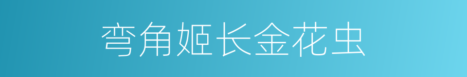 弯角姬长金花虫的同义词