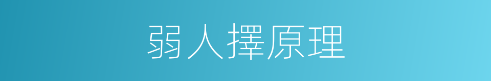 弱人擇原理的同義詞