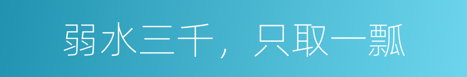 弱水三千，只取一瓢的同义词