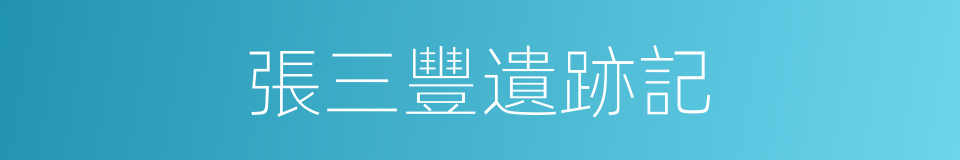 張三豐遺跡記的同義詞