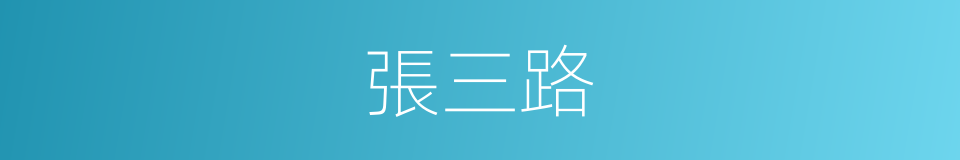 張三路的同義詞