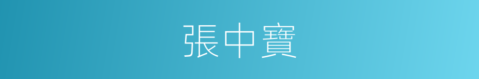 張中寶的同義詞