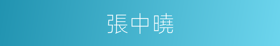 張中曉的同義詞