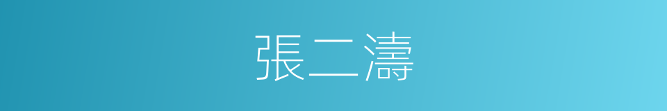 張二濤的同義詞