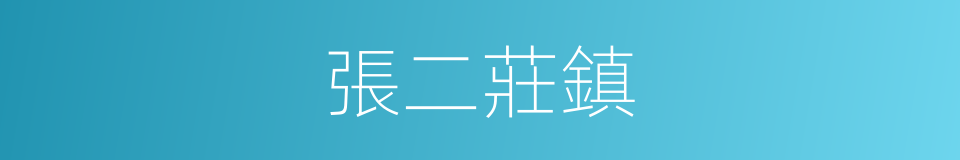 張二莊鎮的同義詞