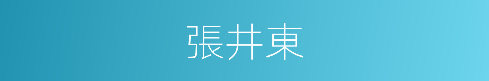 張井東的同義詞