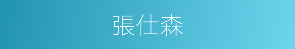 張仕森的同義詞