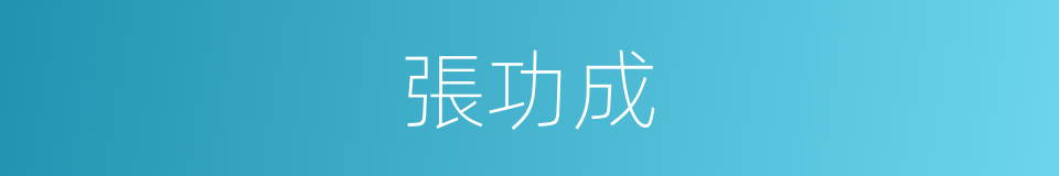 張功成的意思