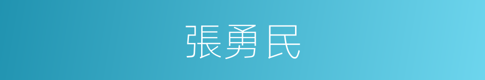 張勇民的同義詞