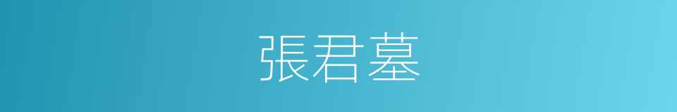 張君墓的同義詞