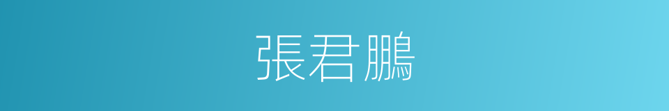 張君鵬的同義詞