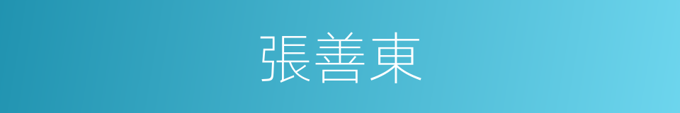 張善東的同義詞