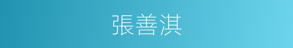 張善淇的同義詞