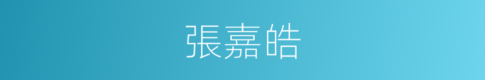 張嘉皓的同義詞