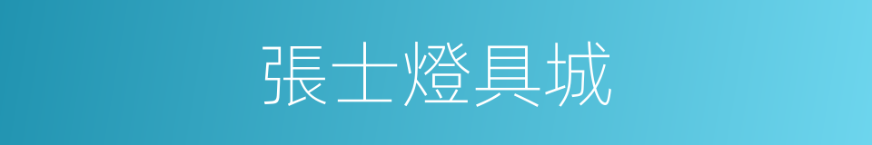 張士燈具城的同義詞