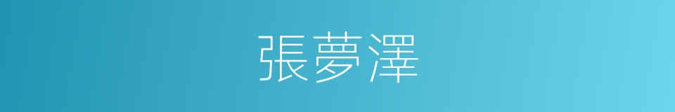 張夢澤的同義詞