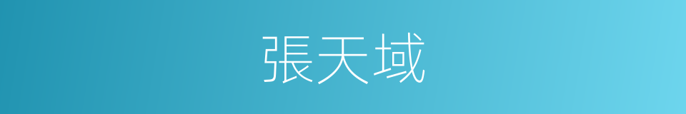 張天域的同義詞