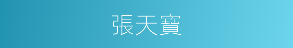 張天寶的同義詞