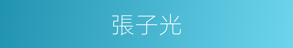 張子光的同義詞