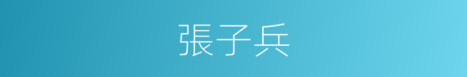 張子兵的同義詞