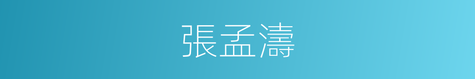 張孟濤的同義詞