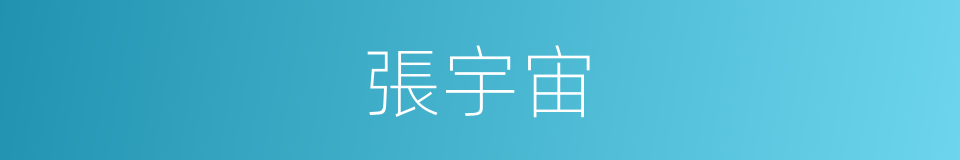 張宇宙的同義詞