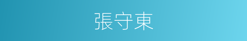 張守東的同義詞