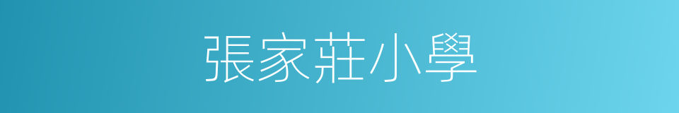 張家莊小學的同義詞