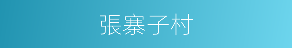 張寨子村的同義詞
