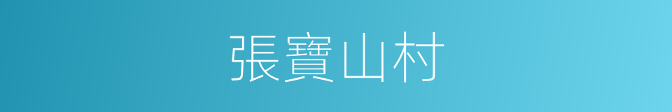 張寶山村的同義詞
