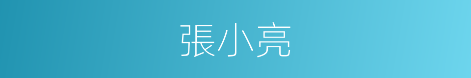 張小亮的同義詞