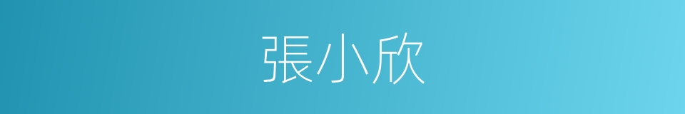 張小欣的同義詞