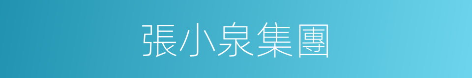 張小泉集團的同義詞