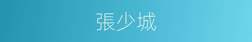 張少城的同義詞