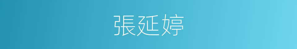 張延婷的同義詞