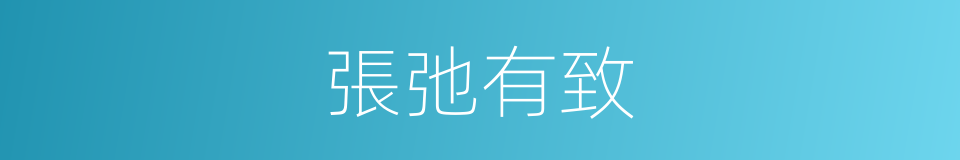 張弛有致的意思