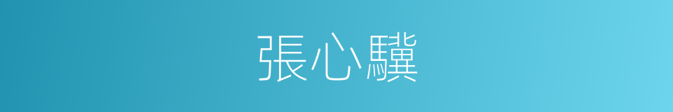 張心驥的同義詞