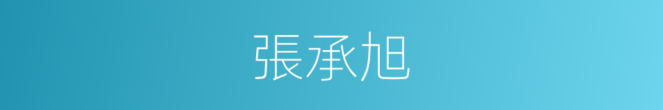 張承旭的同義詞