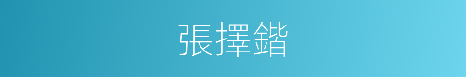 張擇鍇的同義詞