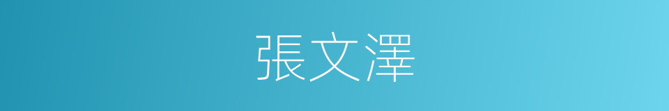 張文澤的同義詞