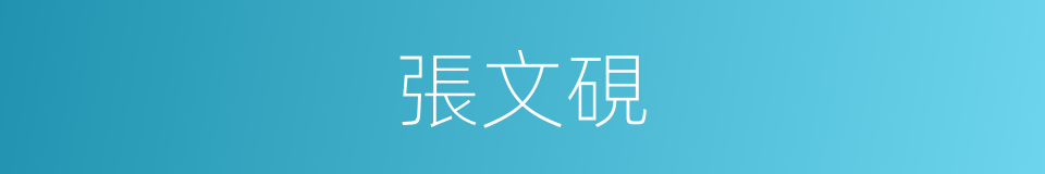 張文硯的同義詞