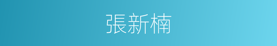 張新楠的同義詞