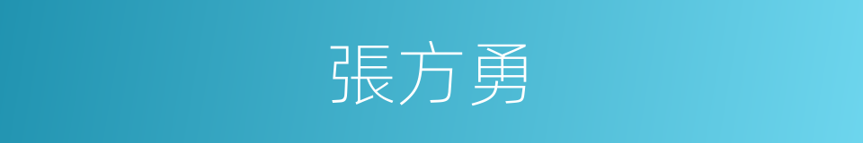 張方勇的同義詞