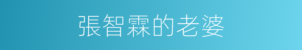 張智霖的老婆的同義詞