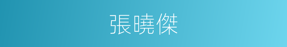 張曉傑的同義詞