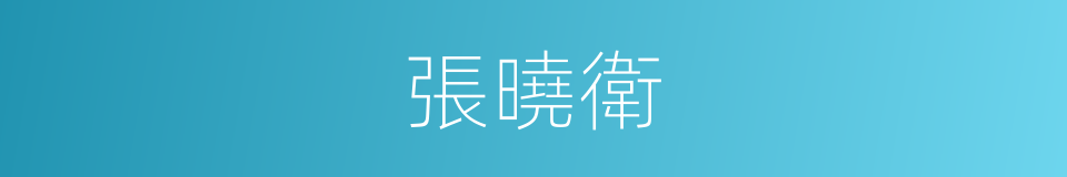 張曉衛的同義詞
