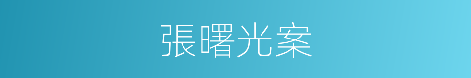 張曙光案的同義詞