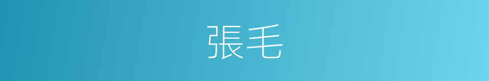 張毛的同義詞